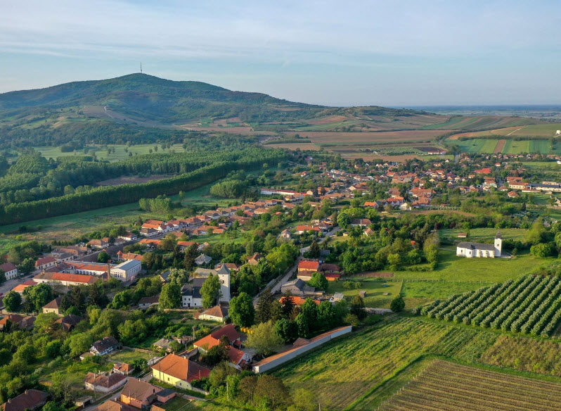 Kopasz Hill, Tokaj, Hungary